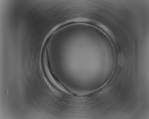 X0000084011229200702161153