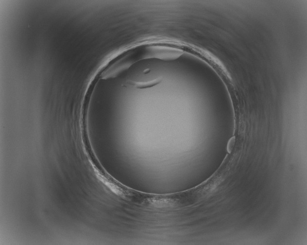X0000084011231200702161153
