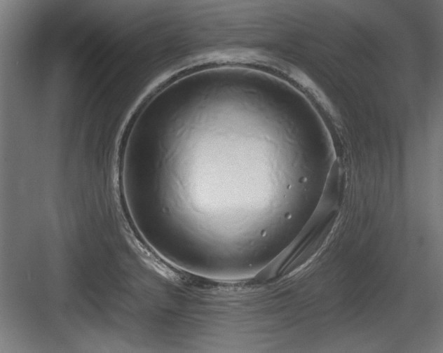 X0000084011232200702161153