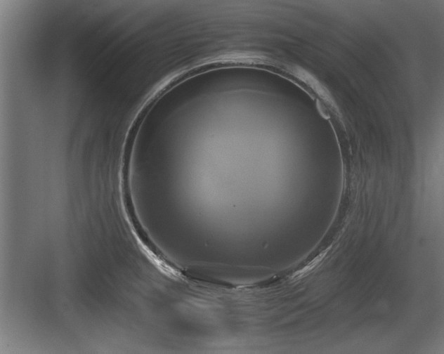 X0000084011237200702161153
