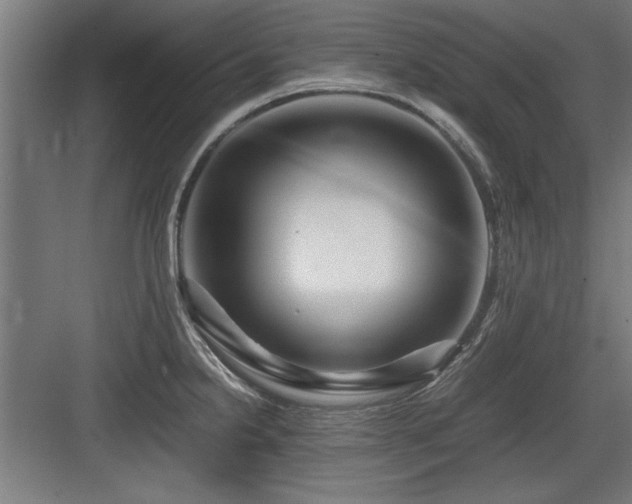 X0000084011238200702161153