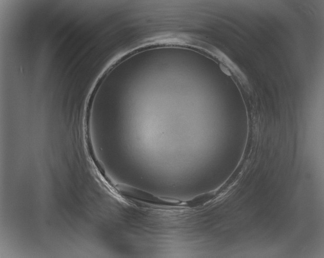 X0000084011240200702161153