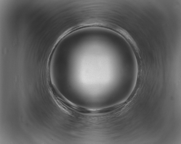 X0000084011242200702161153