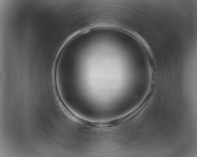 X0000084011246200702161153