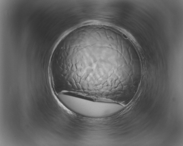 X0000084011247200702161153