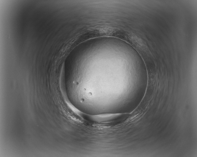 X0000084011249200702161152