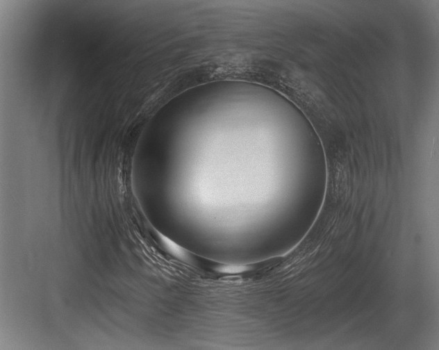 X0000084011250200702161152
