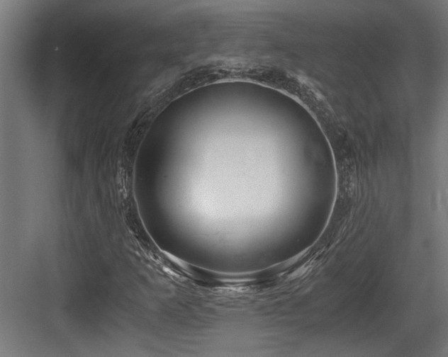 X0000084011253200702161152