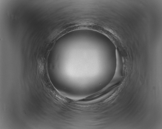 X0000084011257200702161152