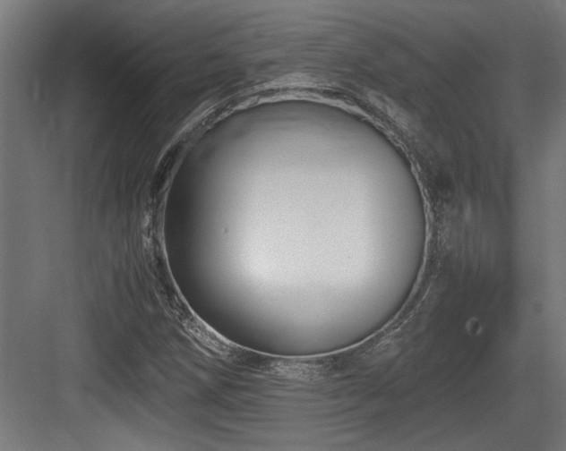 X0000084011258200702161152