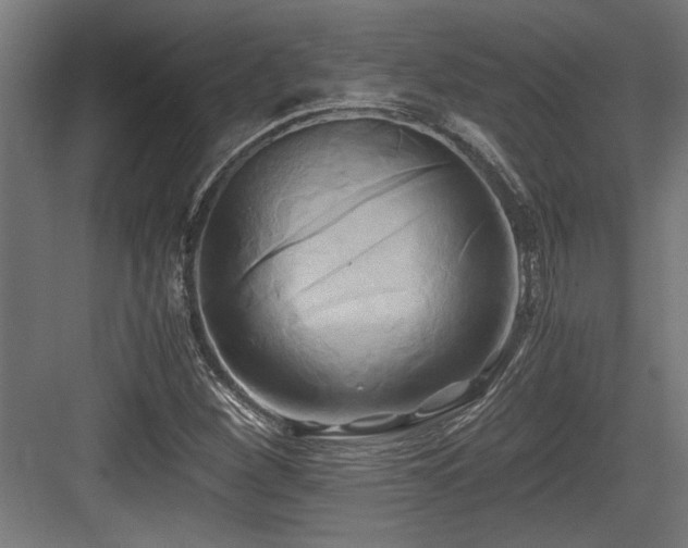 X0000084011260200702161152