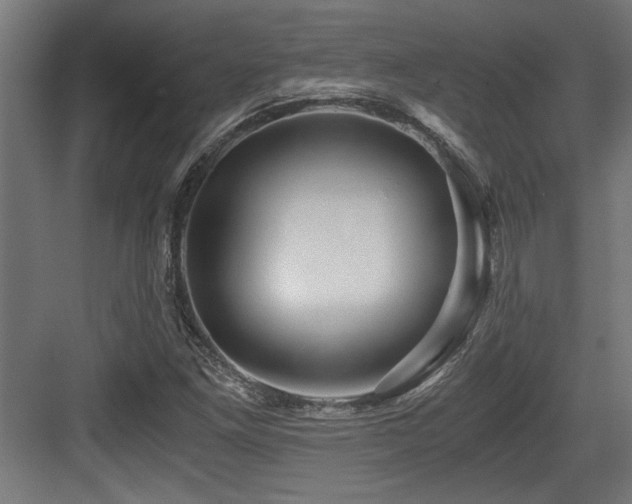 X0000084011261200702161152