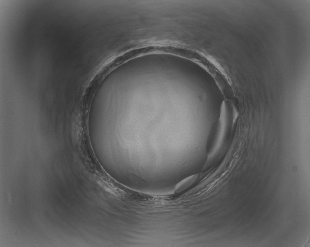 X0000084011263200702161152