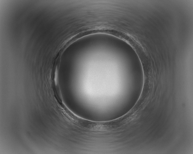 X0000084011265200702161152