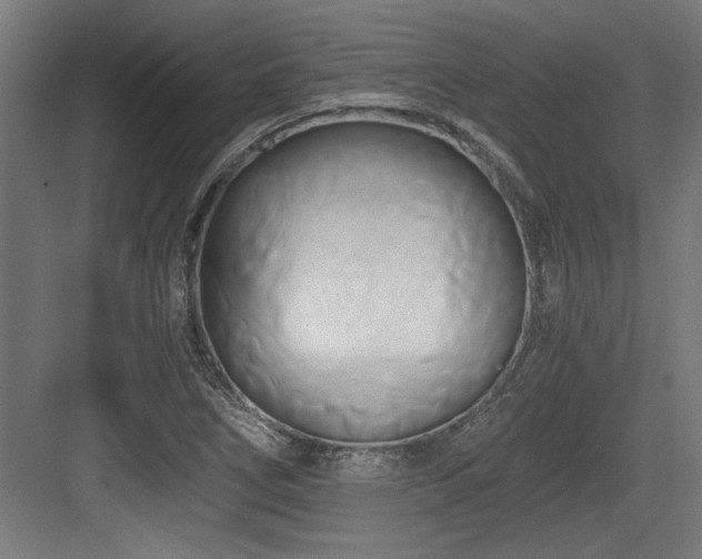 X0000084011266200702161152