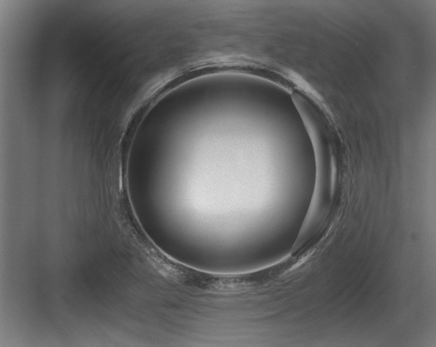 X0000084011269200702161152