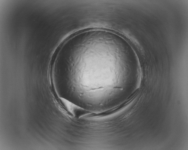 X0000084011272200702161152