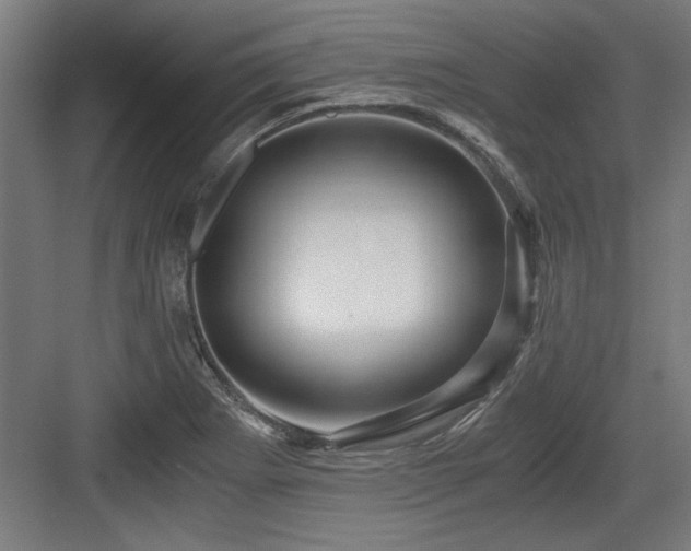 X0000084011273200702161152