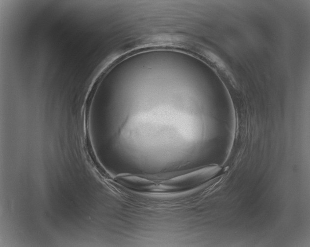 X0000084011275200702161152