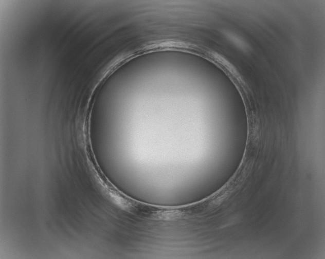 X0000084011282200702161152