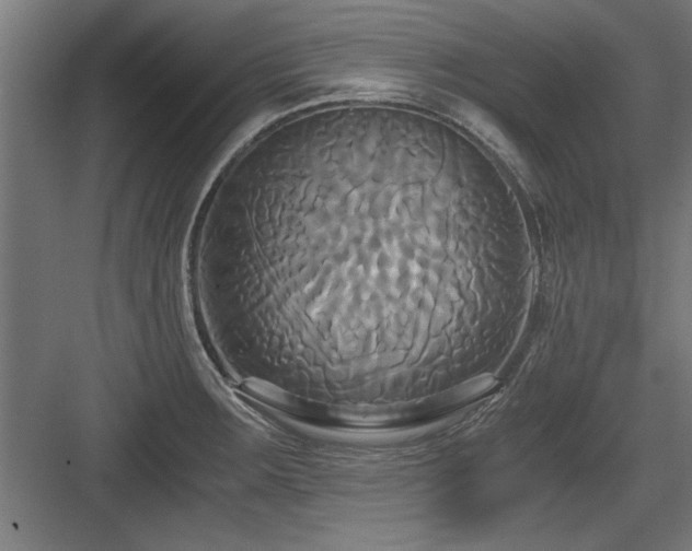 X0000084011283200702161152