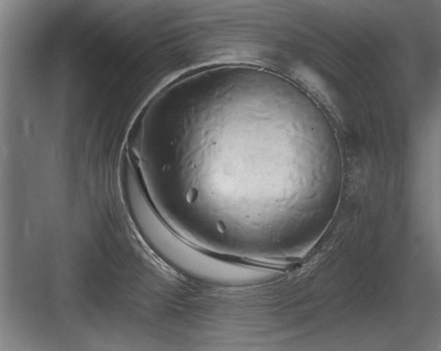 X0000084011284200702161152