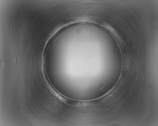 X0000084011286200702161152