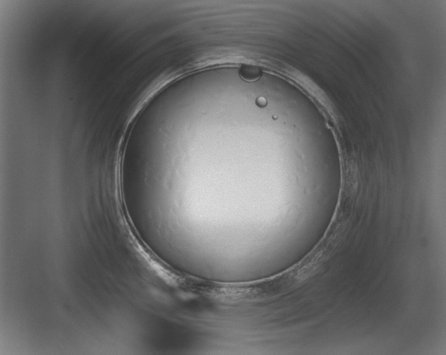 X0000084011290200702161152