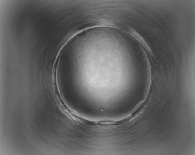 X0000084011292200702161152