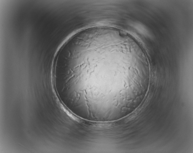 X0000084011294200702161152