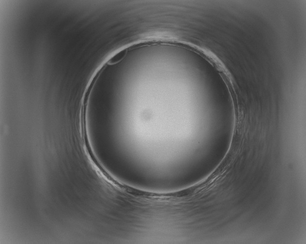 X0000084011295200702161152
