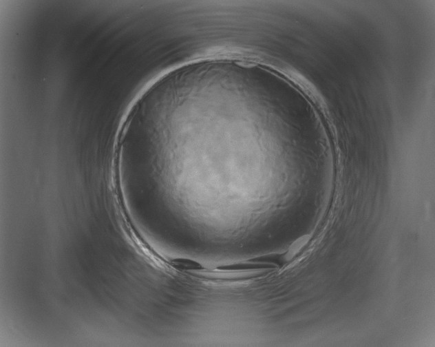 X0000084011296200702161152