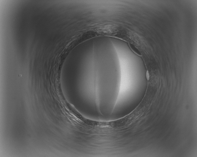 X0000084011297200702161151