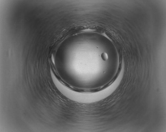 X0000084011298200702161151
