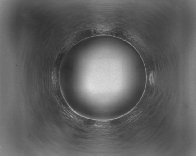X0000084011299200702161151