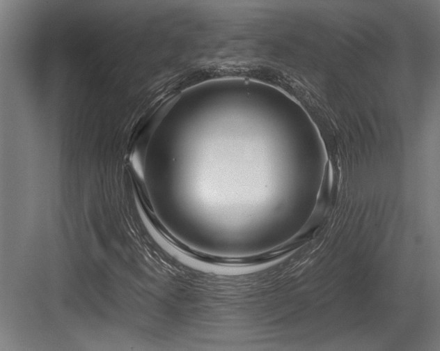 X0000084011300200702161151