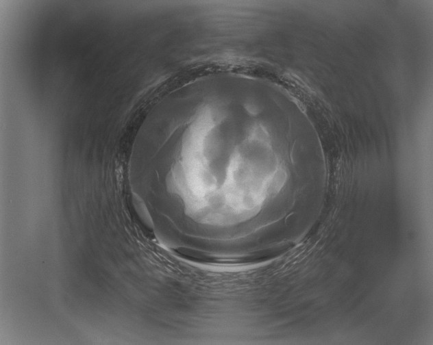 X0000084011302200702161151