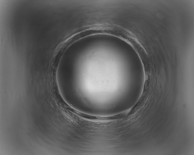 X0000084011304200702161151