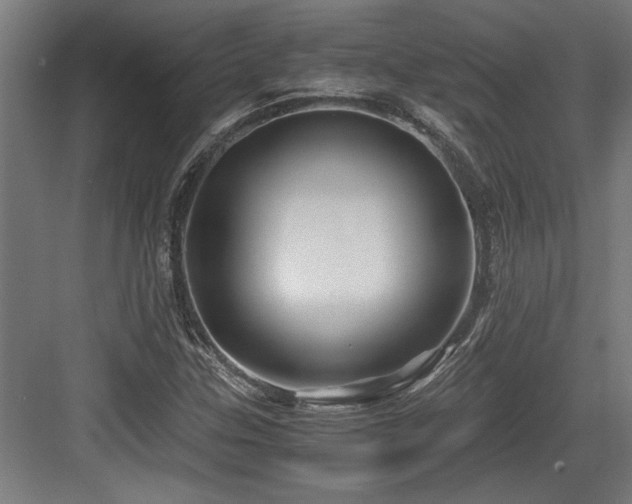 X0000084011307200702161151