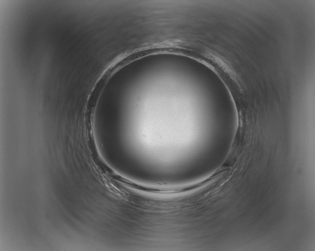 X0000084011308200702161151