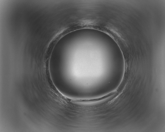 X0000084011309200702161151