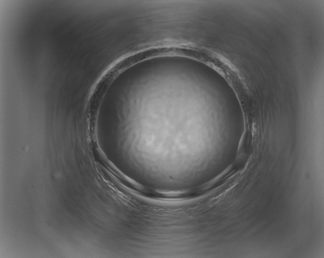 X0000084011310200702161151