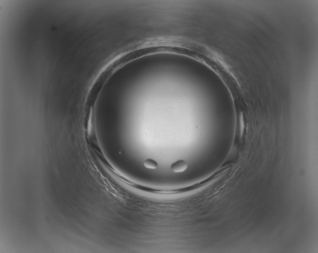 X0000084011312200702161151