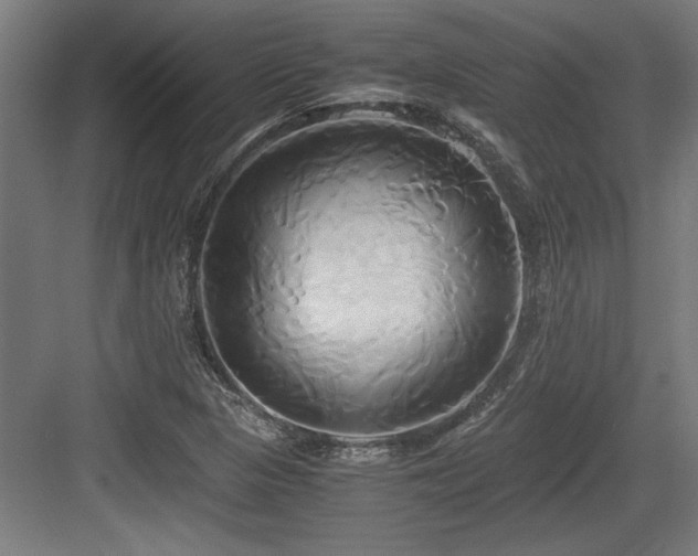 X0000084011313200702161151