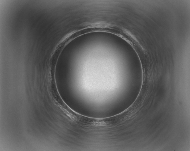 X0000084011315200702161151
