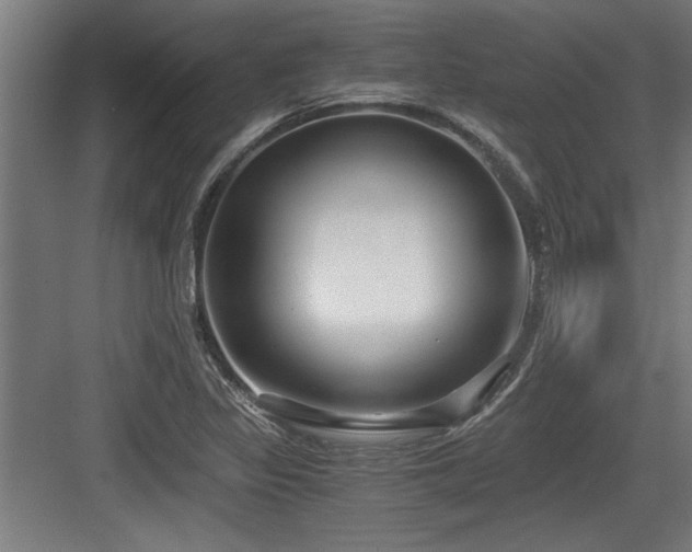 X0000084011317200702161151