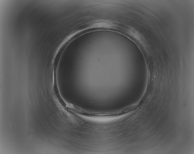 X0000084011323200702161151