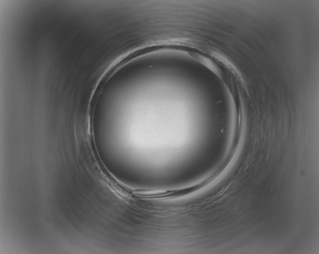 X0000084011324200702161151