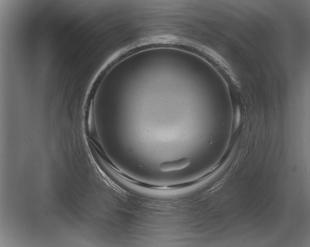 X0000084011326200702161151