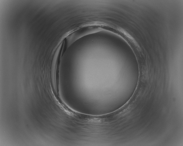 X0000084011329200702161151